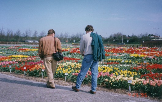 A sample garden in Holland : 1982